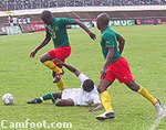 Cameroun – Côte d&rsquo;Ivoire: 2-0. Les Lions coupent et les Eléphants décalent !