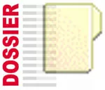 Éditorial: La nécessaire reconstruction de l’édifice « Lions Indomptables »