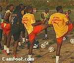 Coupe de la Cemac: Cameroun – Les Lions A&rsquo; jouent leur va-tout