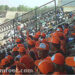 Le stade Roumdé Adjia de Garoua cherche supporters
