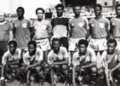 Lions Indomptables 1981