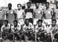 Lions Indomptables 1981