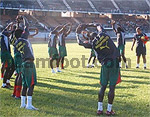Cameroun- Egypte : Les Lions dans le vif  du sujet