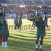 Cameroun- Egypte : Les Lions dans le vif  du sujet