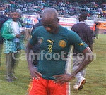 Les Lions n&rsquo;iront pas en Allemagne 2006