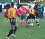 Match d&rsquo;entraînement : Les présélectionnés Lions écrasent l&rsquo;US Torcy 7-0