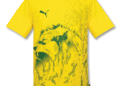 African_Nations_Cup_Tee_S_Yellow_-_Green.gif