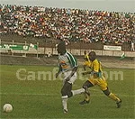 47è édition de D1: Les 16 clubs en branle-bas de combat