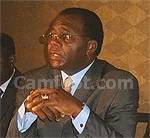 Mobilisation tous azimuts derrière les Lions au Caire