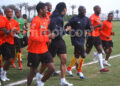 Les Lions aux entraînements de ce mardi matin