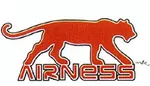 Sponsoring: «Airness» mise bientôt dans la cour des Lions
