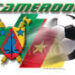 Où va l’argent du football camerounais ?