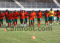 Des Lions "volontaires" à l'entraînement ce mercredi à Yaoundé