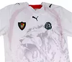 Lions Indomptables : Comment Puma a été reconduit