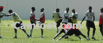 Les lionceaux pendant une séance d'entraînement