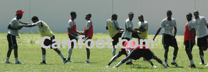 Les lionceaux pendant une séance d'entraînement