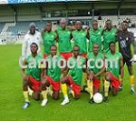 Lions de la diaspora : l’autre solution ?