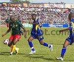 Le Cameroun qualifié (en images)