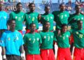 Les Lions du Beach soccer