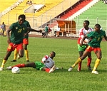 Eliminatoire Can Juniors : 26 Lionceaux en cage