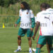 Lions Indomptables : Premier training sous Thomas Nkono
