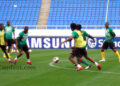 Les lions mardi à l'entrainement à Lubango