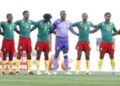 Les lions indomptables du Cameroun