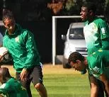 Journal des Lions: Geremi, Enoh et Mandjeck manquent à l&rsquo;appel