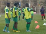 Les fauves du Bas-Oubangui attendent les Lionceaux