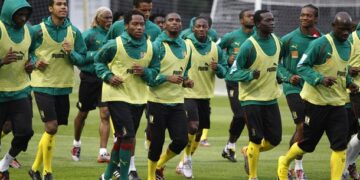 Les 22 Lions convoqués pour Vichy