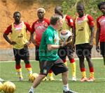 Les  Lions amateurs à l’œuvre