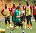 Les  Lions amateurs à l’œuvre