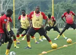 Lions amateurs: les entrainements en image