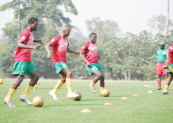 CHAN 2011: les Lions A’ affûtent leurs armes