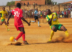 Scorpion pique Panthère