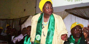 Panthère du Ndé et le grand ménage