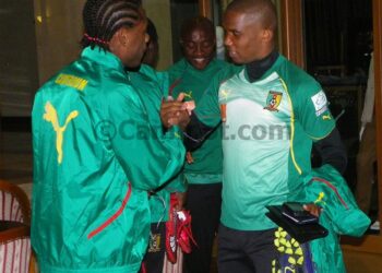 Skopje: Autour des lions