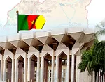Assou Ekotto et Joël Matip convoqués par la Présidence