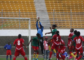 24 Lionnes convoquées