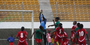 24 Lionnes convoquées