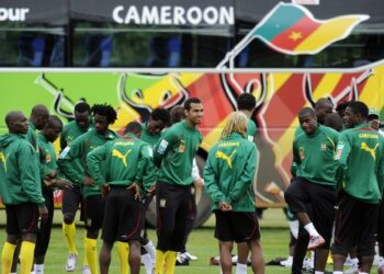 La descente aux enfers des Lions