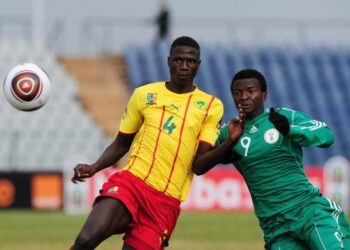 Les lionceaux perdent en finale