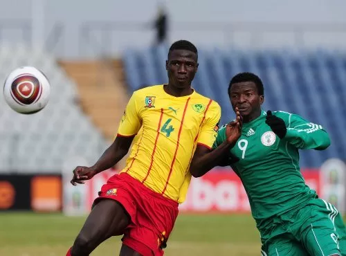 Les lionceaux perdent en finale