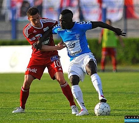 Hongrie: Hervé Tchami buteur