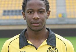 Le Lion qui plaît à la Belgique