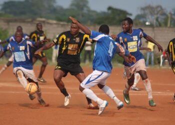 Aigle de La Menoua se donne une option
