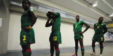 La dernière chance des Lions