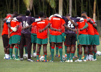 Les Lionceaux sortent les crocs, El Tri a de l’appétit