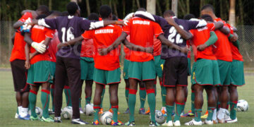 Les Lionceaux sortent les crocs, El Tri a de l’appétit