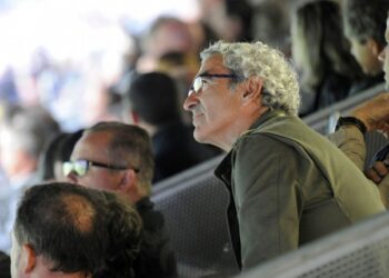 Cameroun: Domenech en approche ?